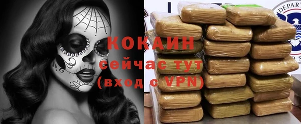 эйфоретик Богородск