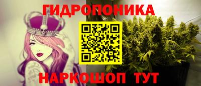 не бодяженный Шебекино