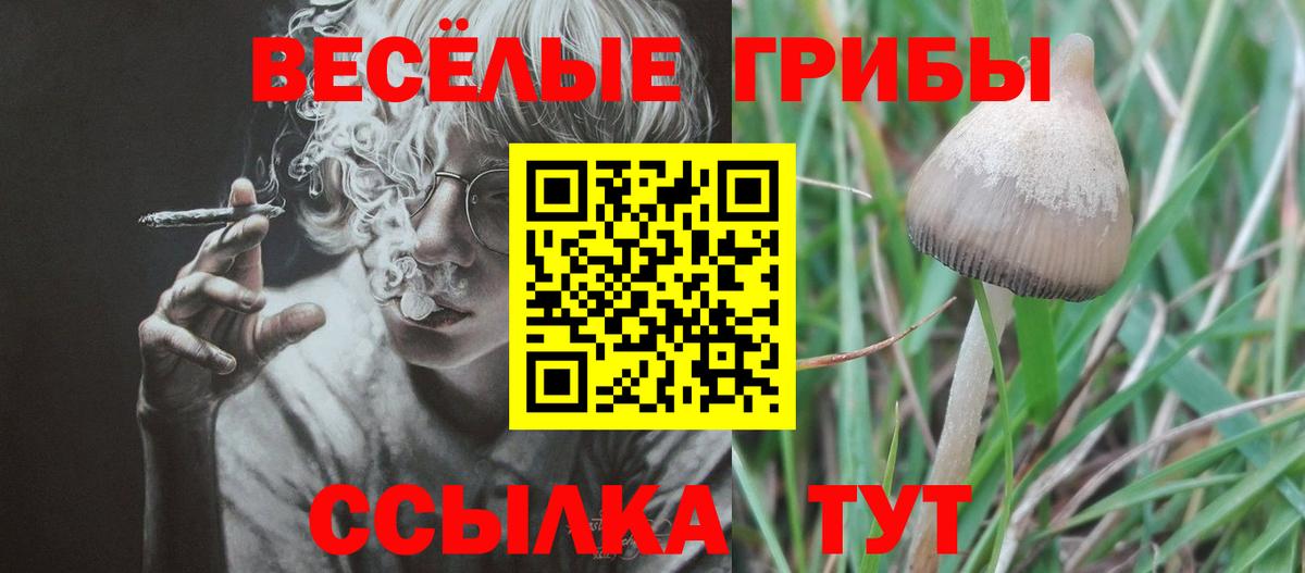 Галлюциногенные грибы ЛСД  Вход с VPN  как найти закладки  Обь 